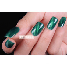 3D Chameleon Pigment for Cat Eye Nail Polish